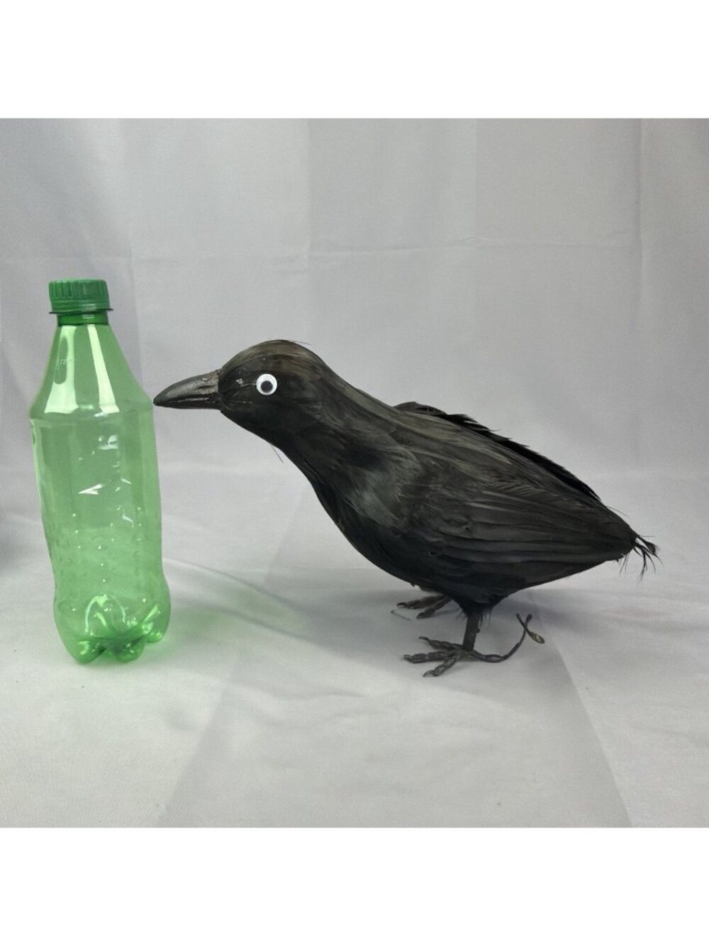 Halloween Decoration Prop Black Crow Raven Bird Spooky Feather Googly Eyes
